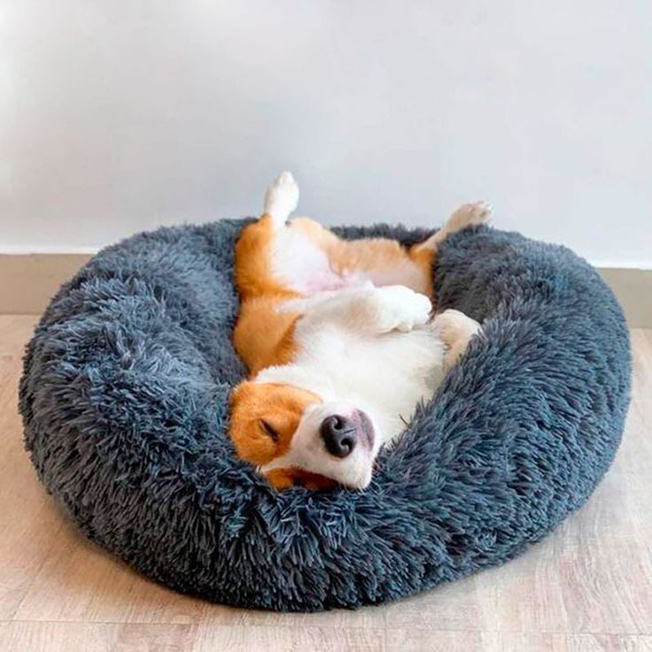 Cama Para Mascotas En Dona Antiestrés