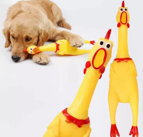 Cepillo vapor para mascotas + pollo medi